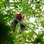 America Tours Bolivia and Chalalán together in responsible tourism