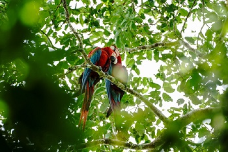 America Tours Bolivia and Chalalán together in responsible tourism