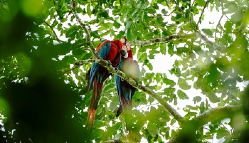 America Tours Bolivia and Chalalán together in responsible tourism