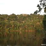 Chalalan Ecolodge in Madidi National Park, Bolivia: Part One