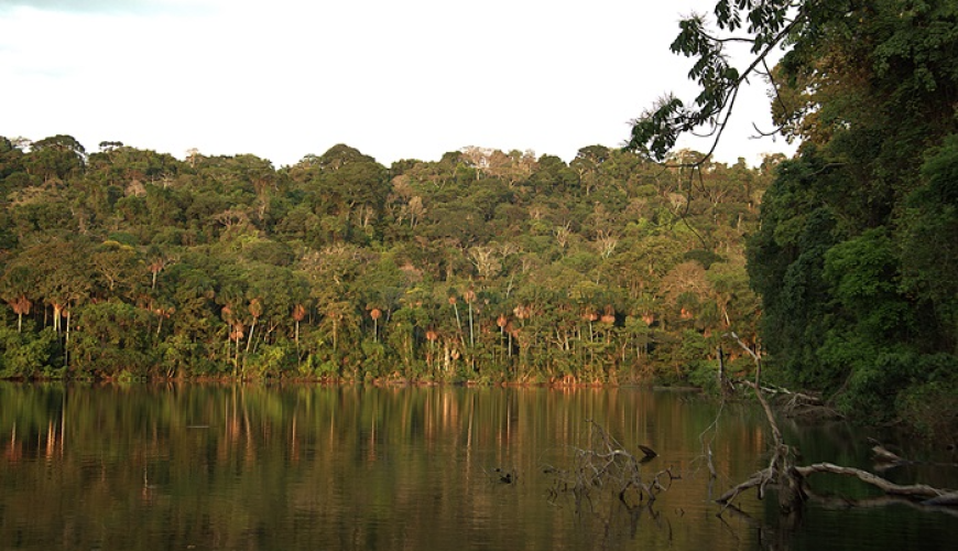 Chalalan Ecolodge in Madidi National Park, Bolivia: Part One
